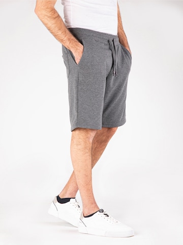 Regular Pantalon 'Zack' Felix Hardy en gris