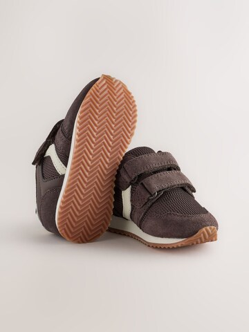 Next Sneakers in Bruin