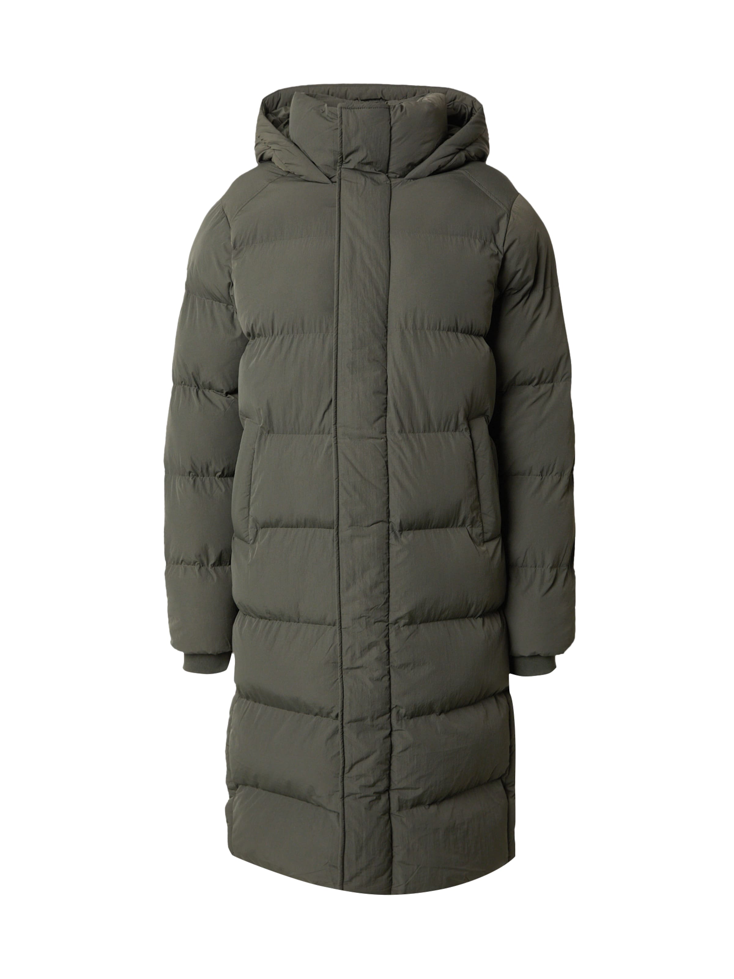 Superdry & Co Vinterparka i grøn: forside