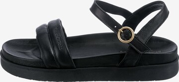 Marc O'Polo Sandals in Black