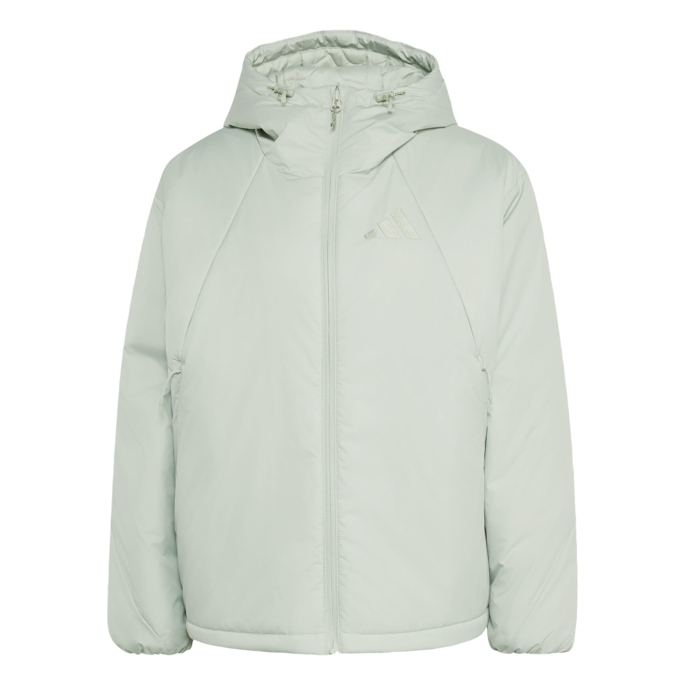 ADIDAS TERREX - Chaqueta de montaña en verde: frente