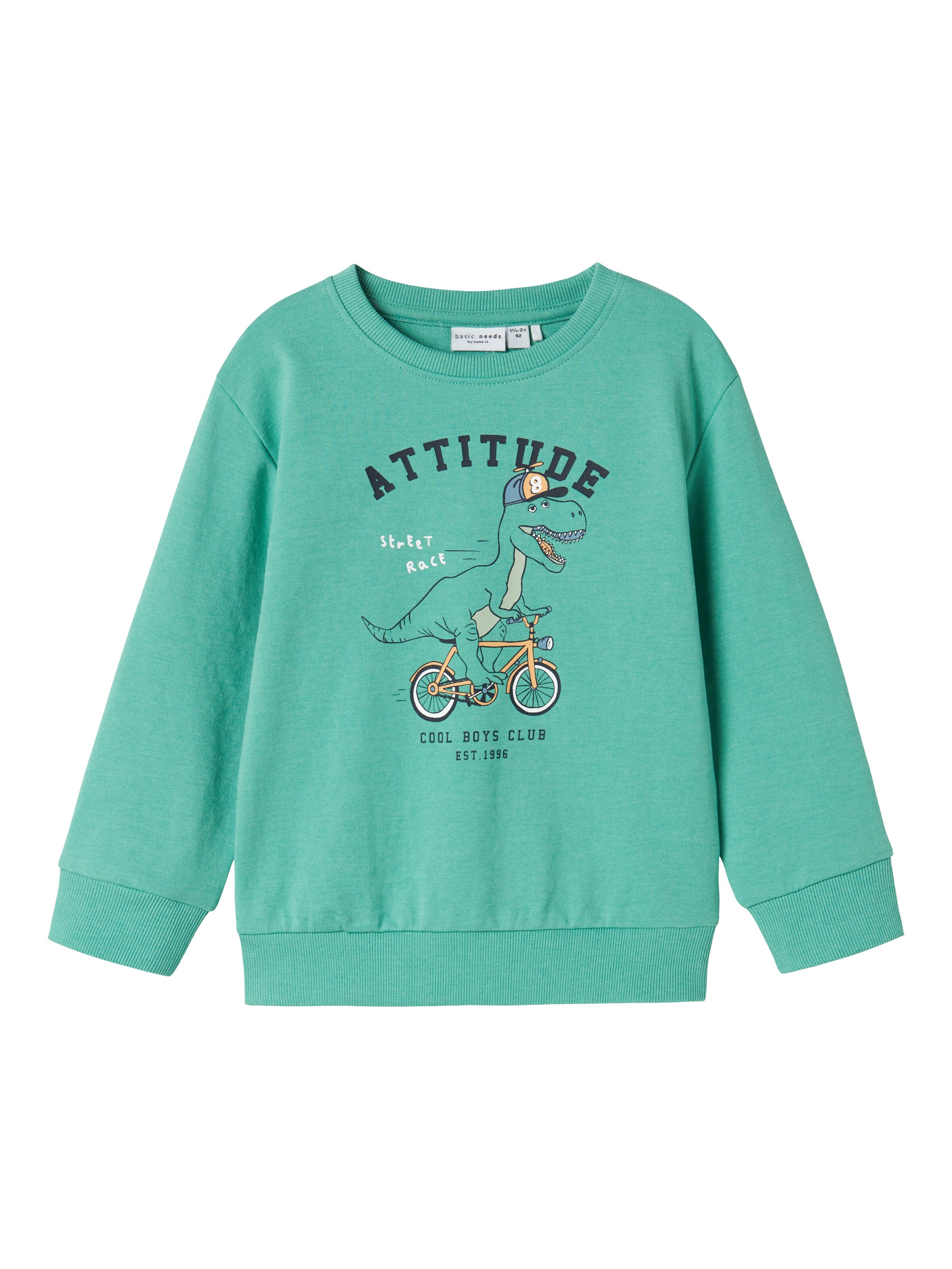 NAME IT Sweatshirt 'NMMVAlexander' in Green: front
