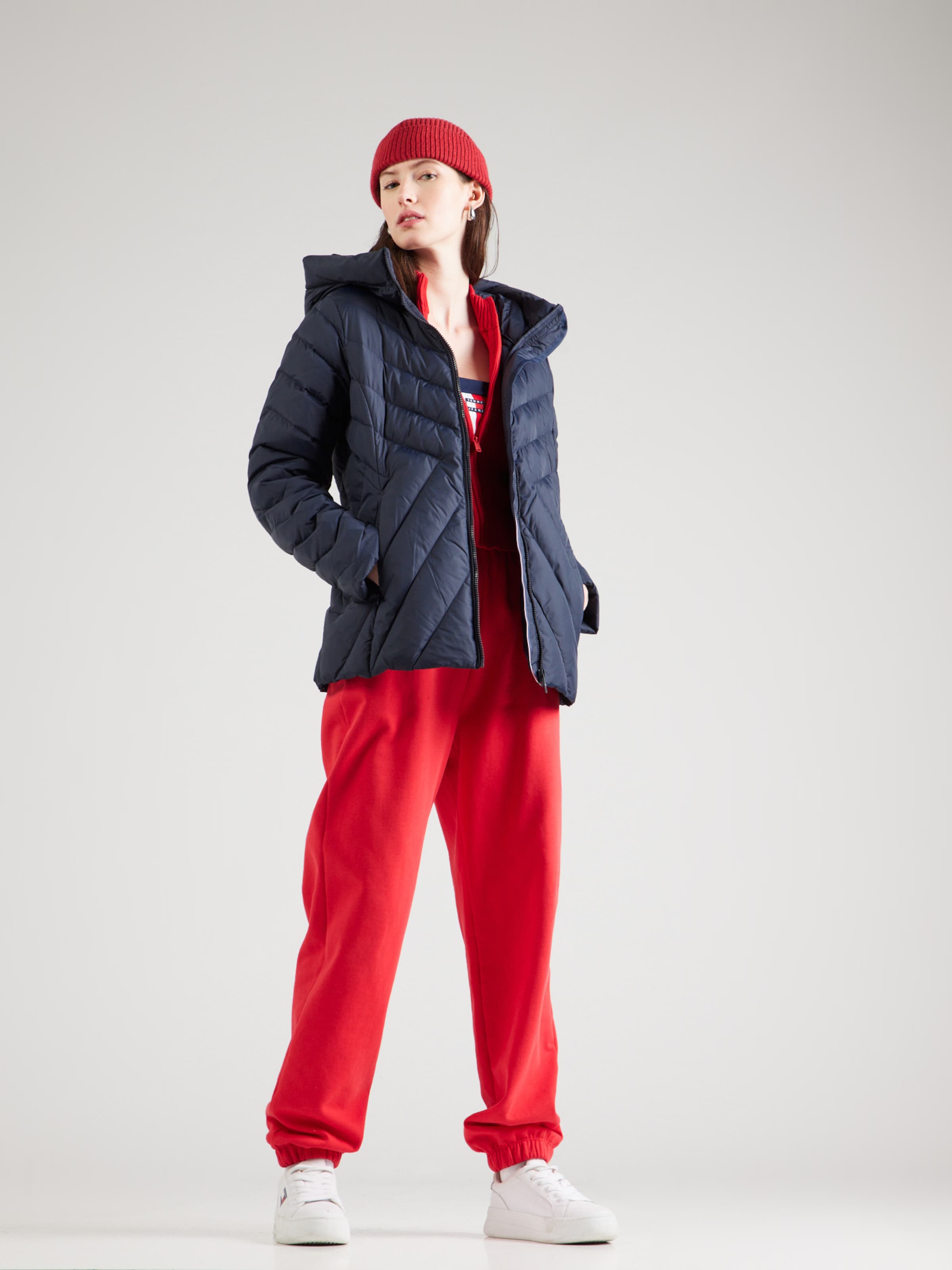 Blue and red tommy hilfiger jacket online
