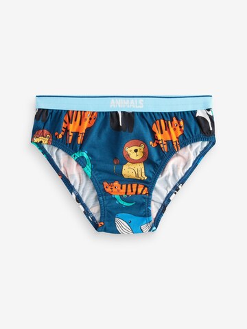 Next Underpants in Mixed colors