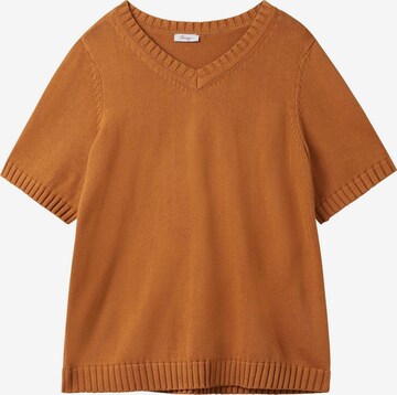 SHEEGO Sweater in Brown: front