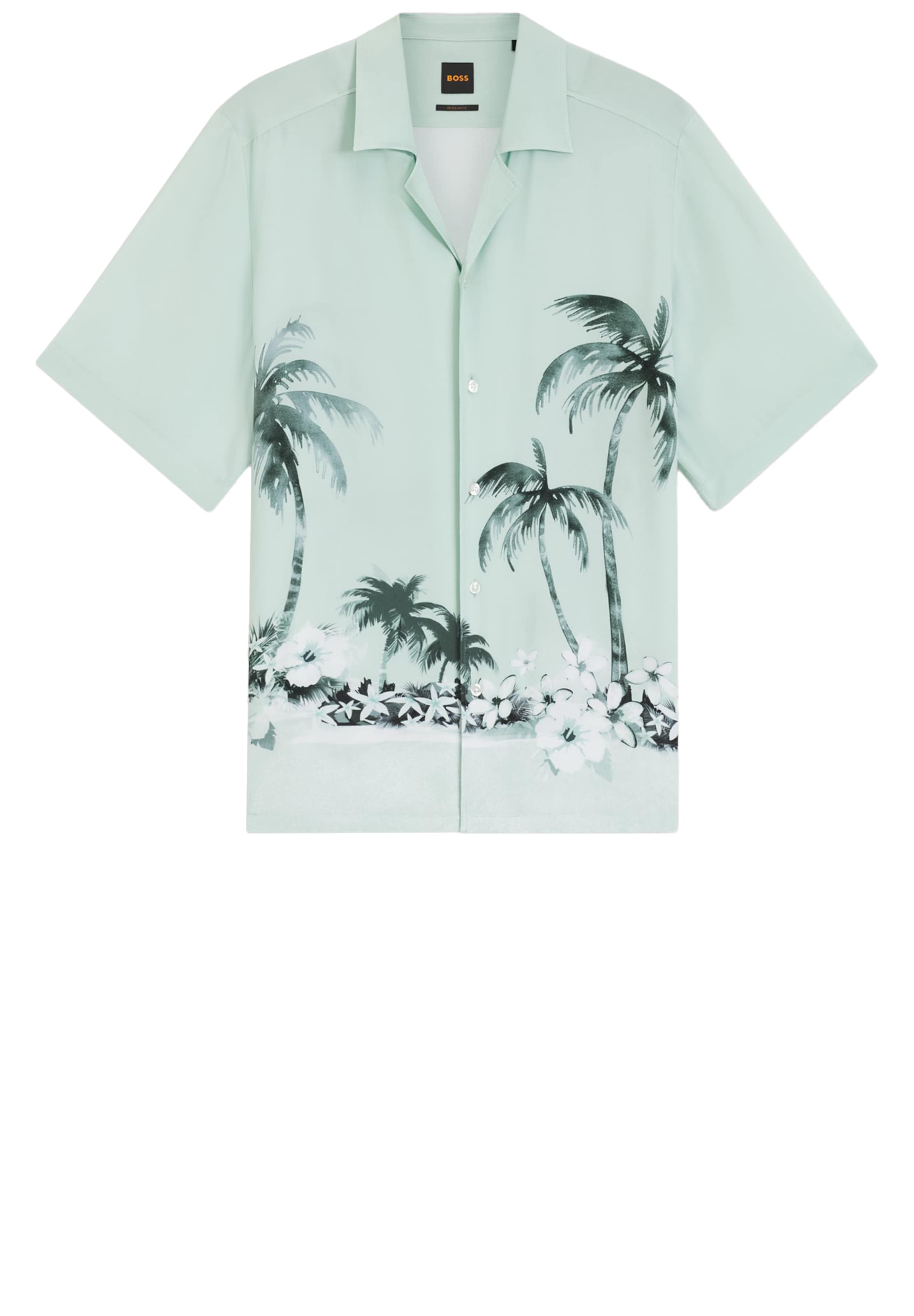 BOSS Regular Fit Hemd ' Rayer' in Blau: Vorderseite