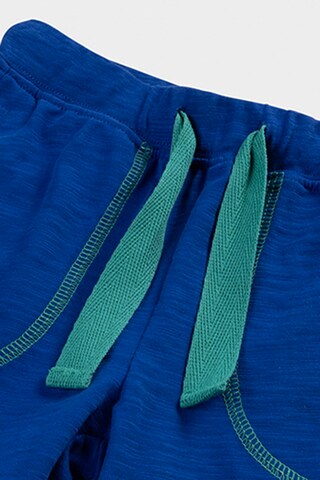 Panço Regular Trousers in Blue