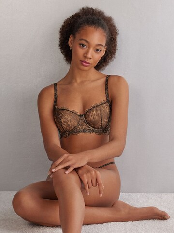 INTIMISSIMI Bustier BH in Braun
