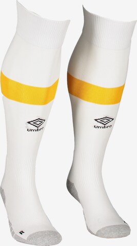 UMBRO Soccer Socks in White: front