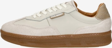 Baskets basses 'Euphoria' STEVE MADDEN en blanc : devant