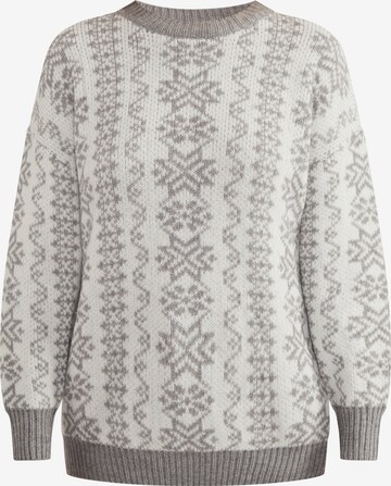 Pull-over 'Lynnea' usha BLUE LABEL en gris : devant