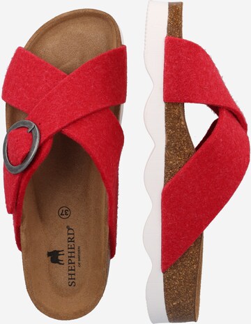 SHEPHERD Huisschoenen in Rood