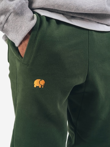 Trendsplant regular Παντελόνι φόρμας ' ESSENTIAL ' σε πράσινο