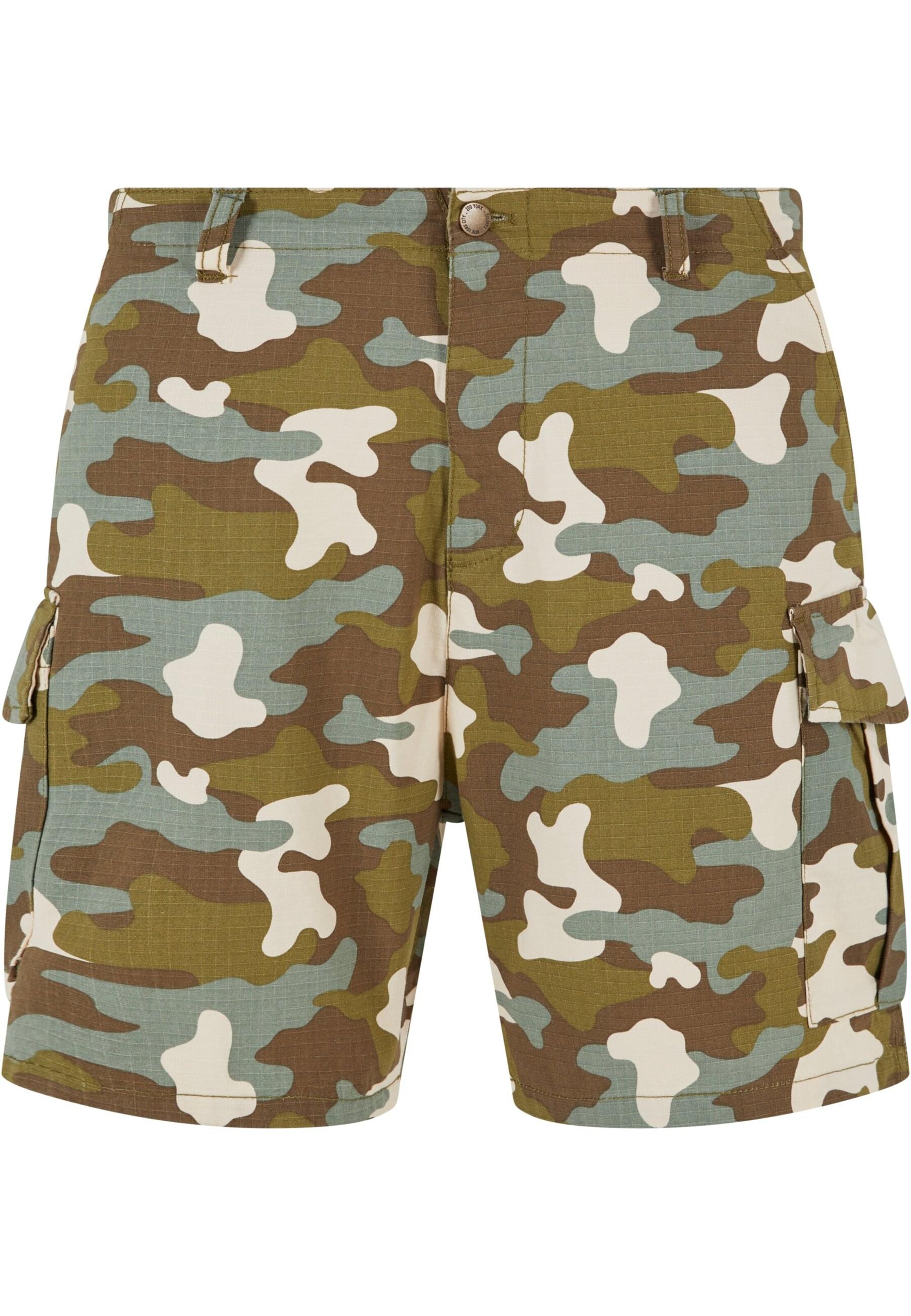 regular Pantaloni di ZOO YORK in verde: frontale