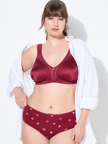 Slip Ulla Popken en gris : devant
