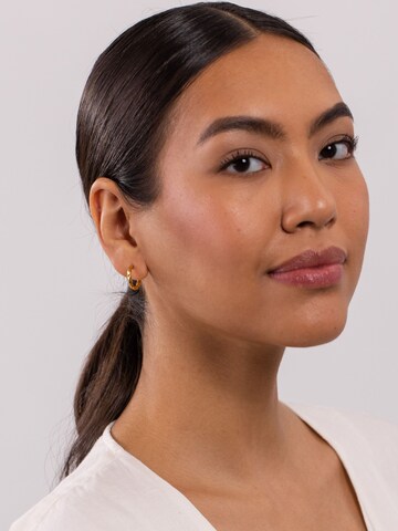 PURELEI Ohrringe 'Kelani' in Gold