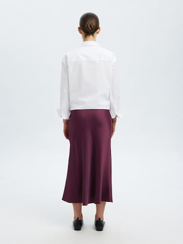 SELECTED Rok in Lila