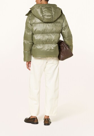 darling harbour Pufferjacke in Grün: Rückseite