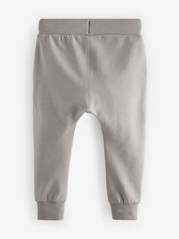 Tapered Pantaloni di Next in grigio
