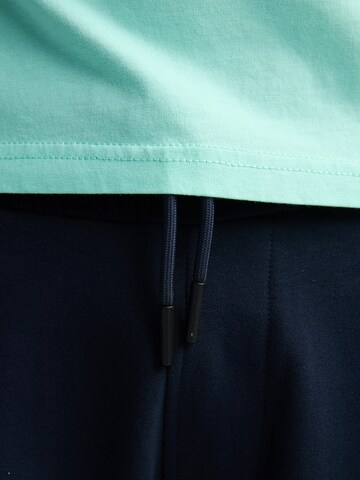 Petrol Industries regular Παντελόνι cargo σε μπλε