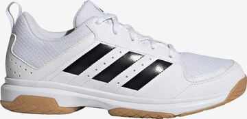 Chaussure de sport 'Ligra 7' ADIDAS SPORTSWEAR en blanc