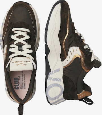 Voile blanche Lace-up shoe 'CLUB105.' in Brown: front