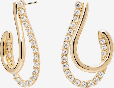 P D PAOLA Earrings 'Koy' in gold, Produktansicht