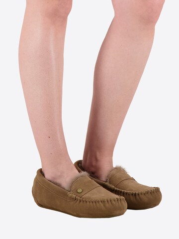 Warmbat Huisschoenen 'Nowra' in Bruin: voorkant