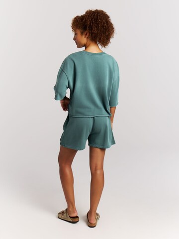 PROTEST Shirt 'PRTMayte' in Green