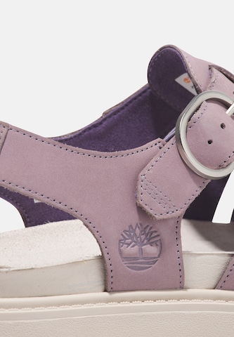 TIMBERLAND Sandals in Purple