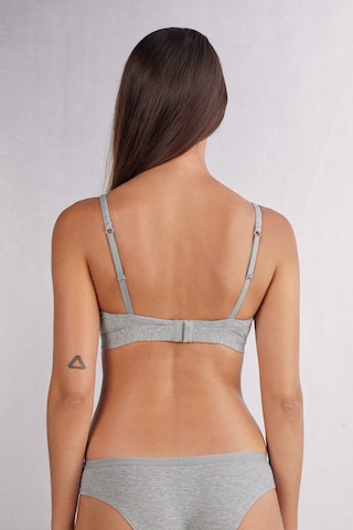 INTIMISSIMI Triangle Bra 'Emma' in Grey