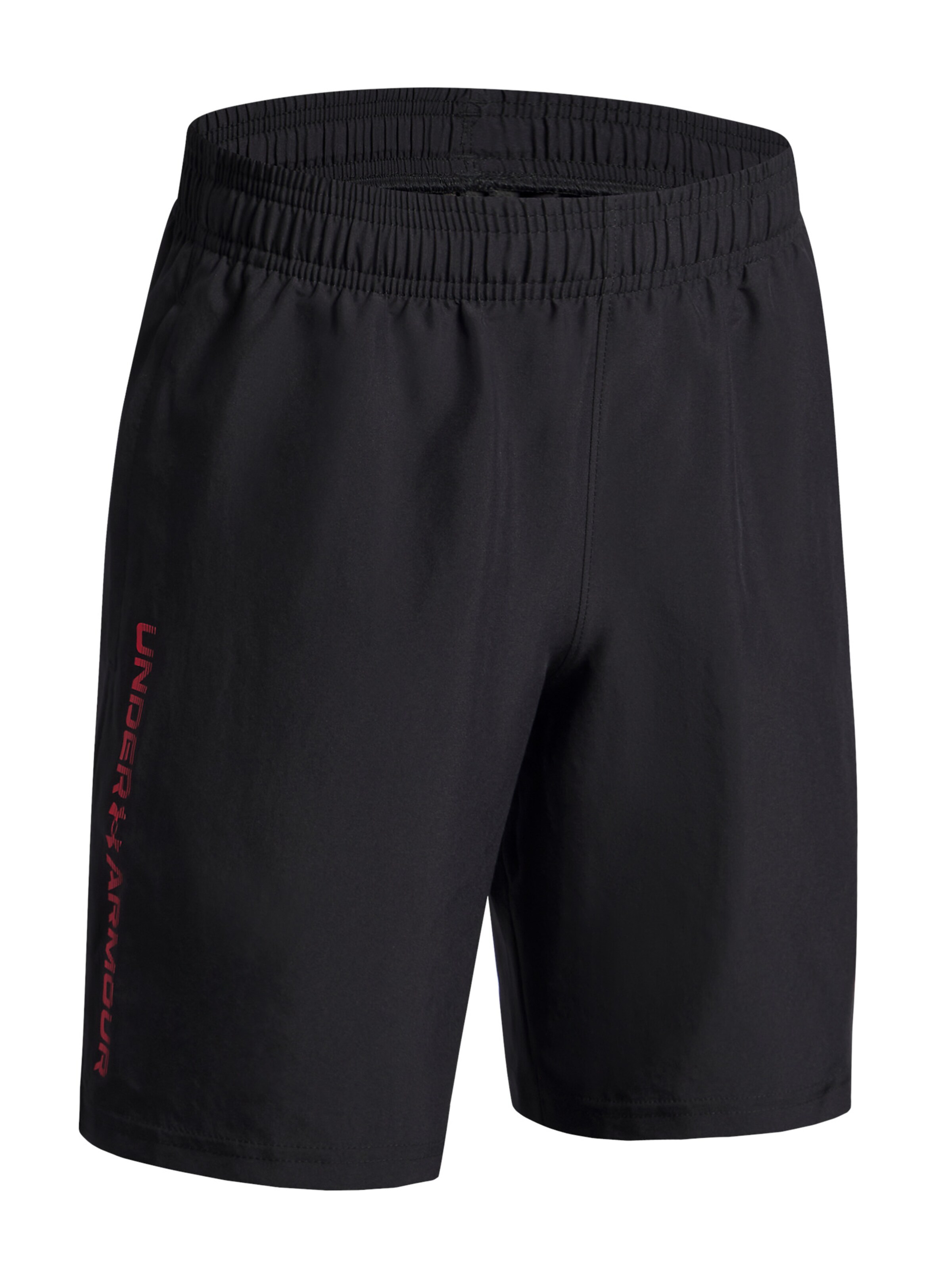 UNDER ARMOUR Regular Workout Pants in Black