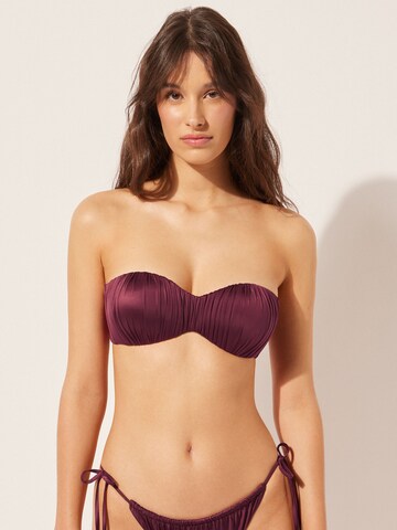 CALZEDONIA Bandeau Bikini Top in Purple: front