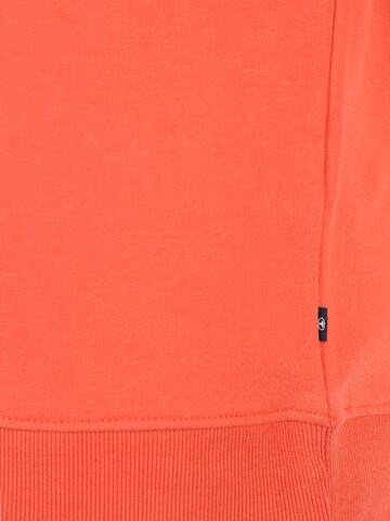 TOM TAILOR Men + Sweatshirt in Orange