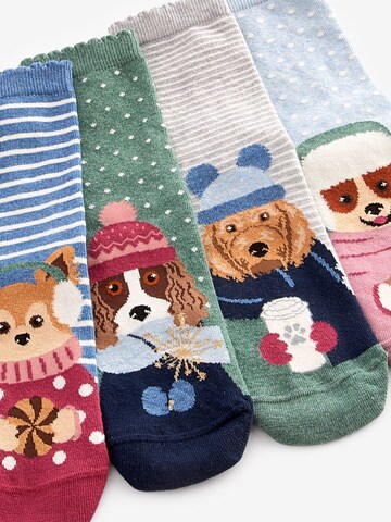 Next Socken in Mischfarben