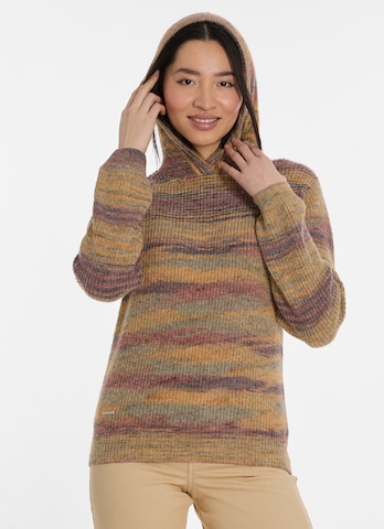 Ragwear Sweater in Mixed colors: front