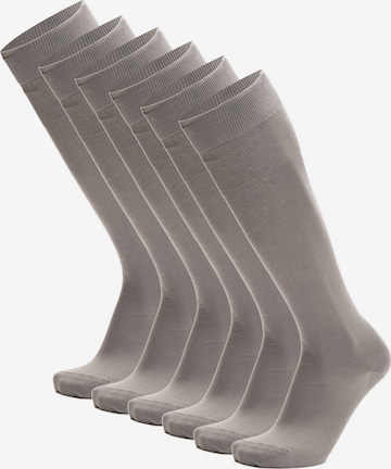 Ciocca Knee High Socks in Grey: front