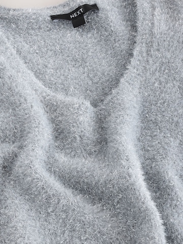 Next Sweater in Silver