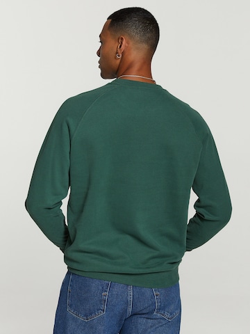 Sweat-shirt Shiwi en vert