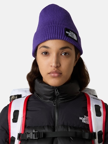 purpurinė THE NORTH FACE Megzta kepurė