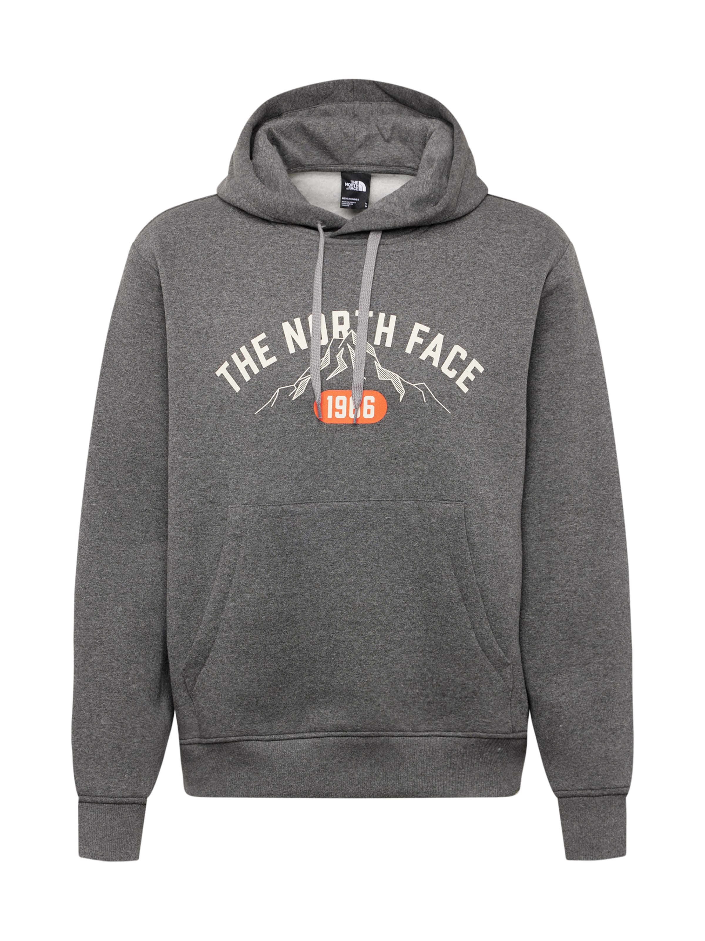 THE NORTH FACE Sweatshirt in Grey: front