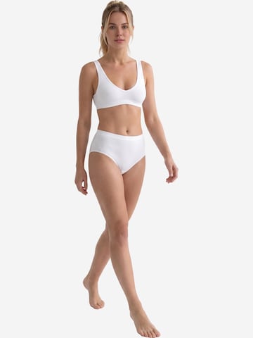 SPEIDEL Panty 'Everyday' in White