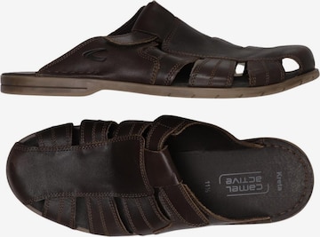 CAMEL ACTIVE Sandals & Slippers in 46,5 in Brown: front