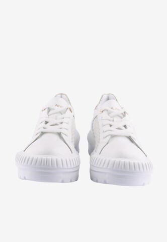 D.MoRo Shoes Sneakers 'Jongoni' in White