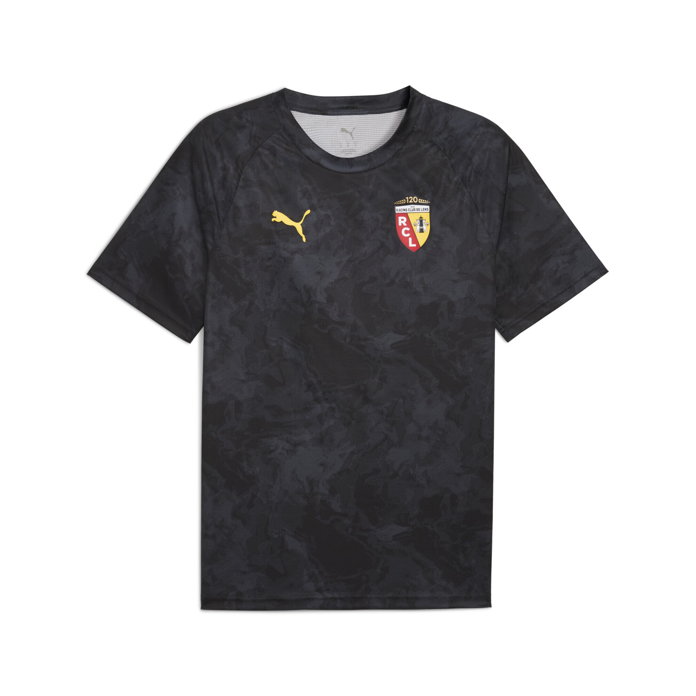 PUMA Trikot 'RC Lens' in Grau: Vorderseite