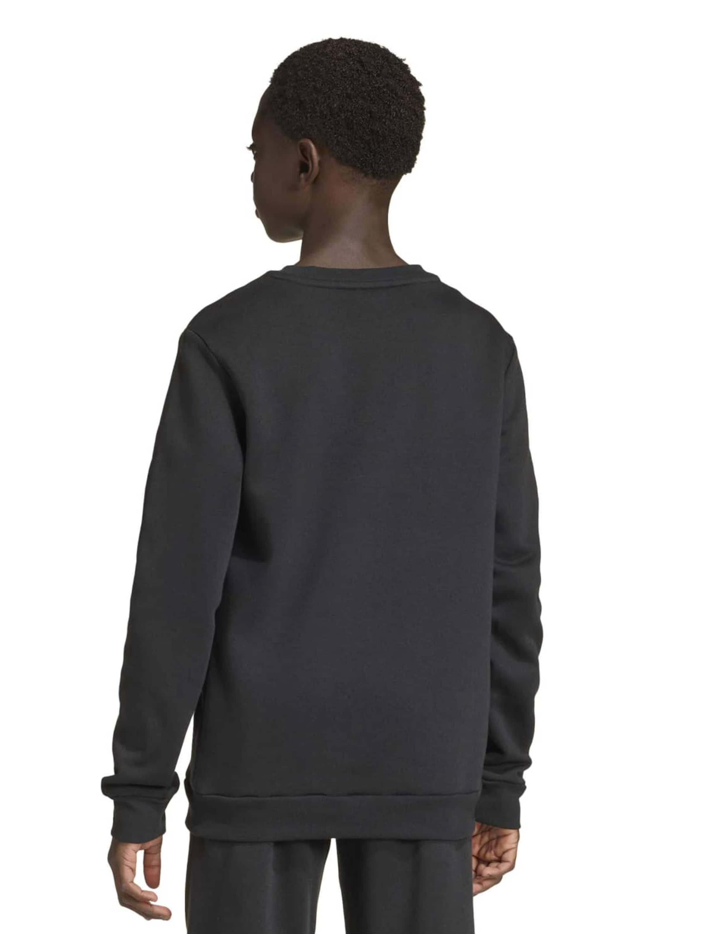 ADIDAS PERFORMANCE - Camiseta deportiva 'ENT26' en negro