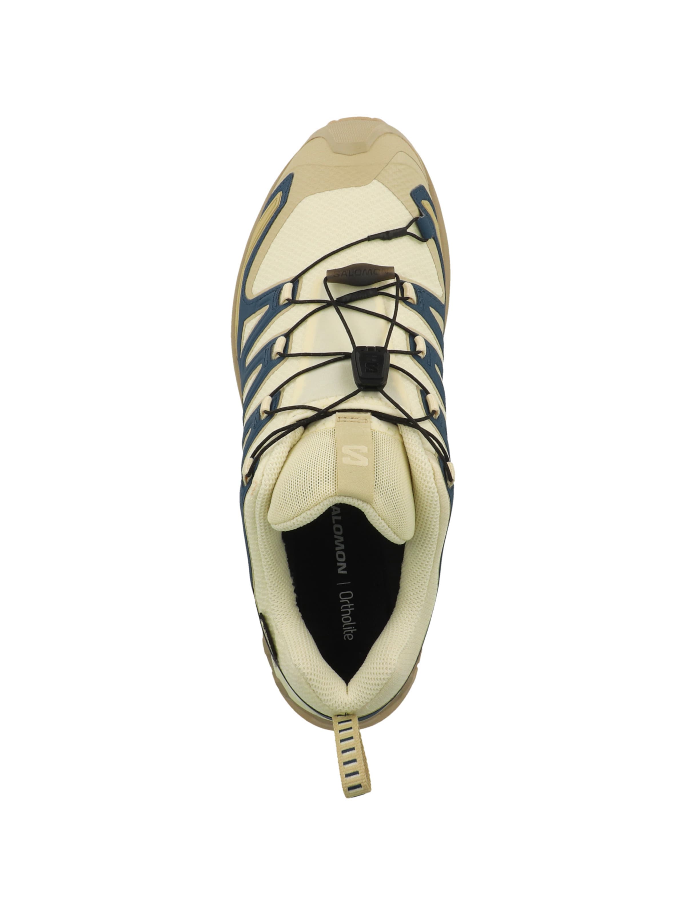 SALOMON Laufschuh 'XA Pro 3D V9' in Beige