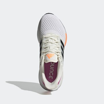 ADIDAS SPORTSWEAR Springsko 'Eq21 Run' i vit