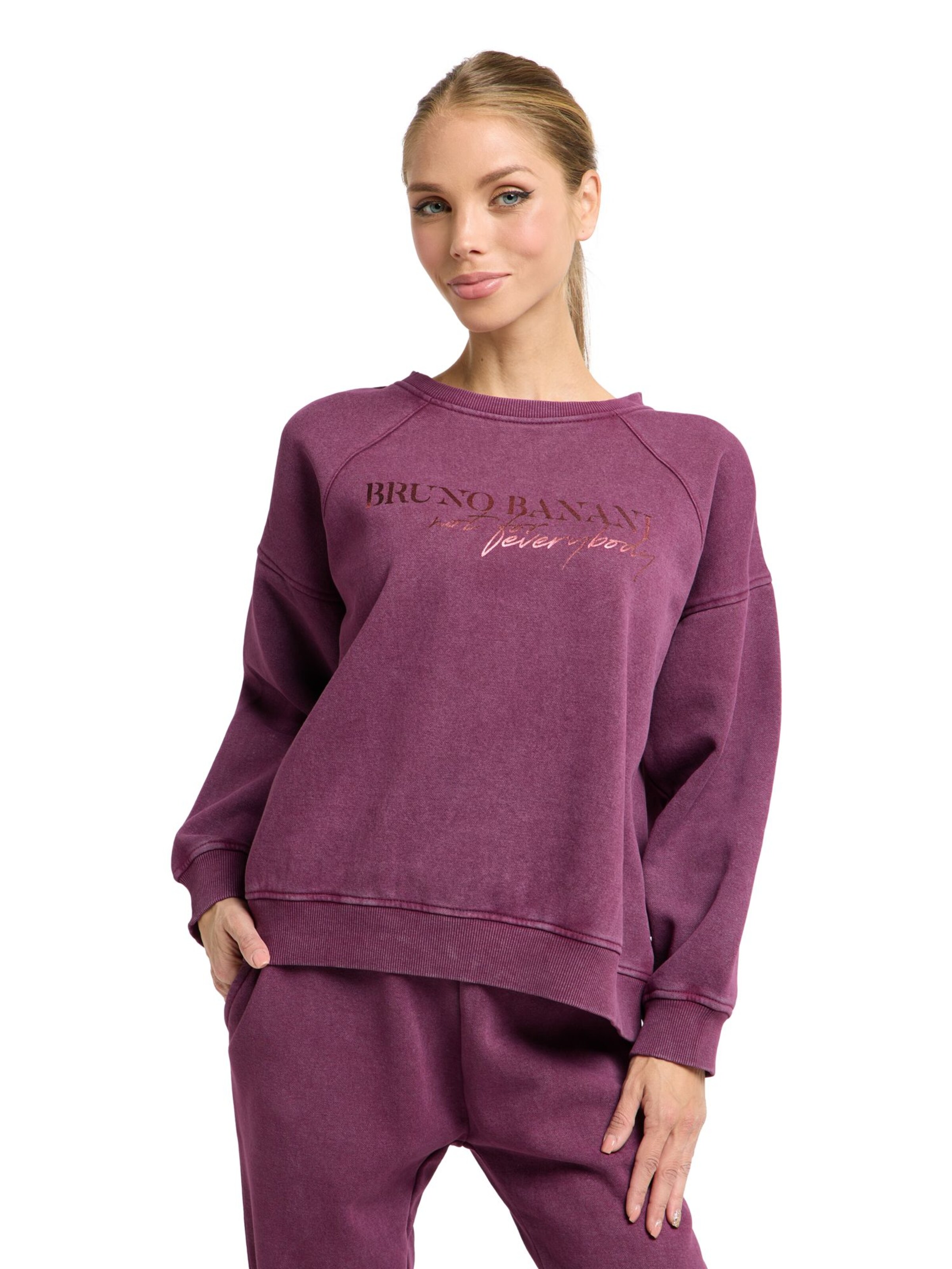 Bruno Banani Sweatshirt 'CARMICHAEL' in Purple: front