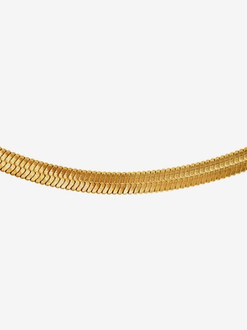 Heideman Armband in Gold
